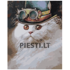 Pieškite pagal skaičius Z-AB5995