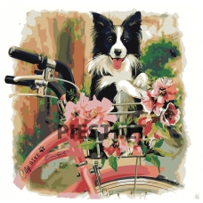 Pieškite pagal skaičius Z-AB65