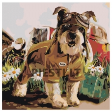 Pieškite pagal skaičius Z-AB80