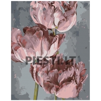 Pieškite pagal skaičius Z-NA48