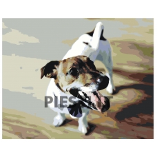 Pieškite pagal skaičius Z3484