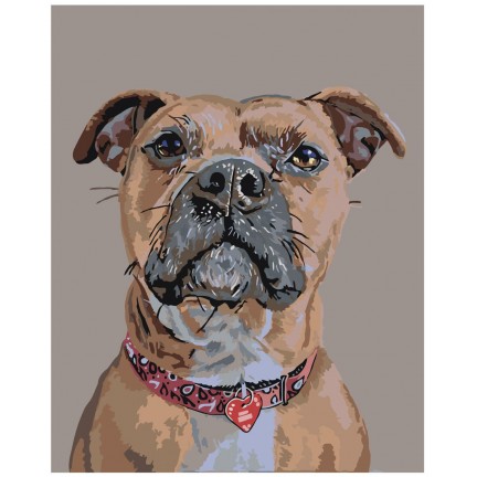 Pieškite pagal skaičius A101 Pieškite pagal skaičius A101