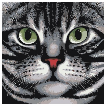 Pieškite pagal skaičius A119 Pieškite pagal skaičius A119