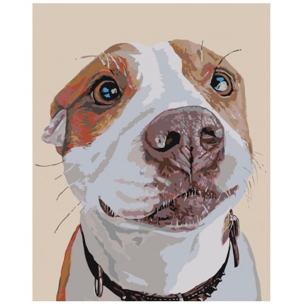 Pieškite pagal skaičius A153 Pieškite pagal skaičius A153