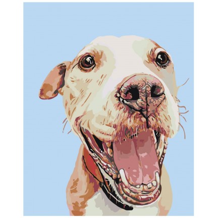 Pieškite pagal skaičius A154 Pieškite pagal skaičius A154