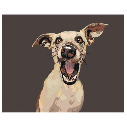 Pieškite pagal skaičius A160 Pieškite pagal skaičius A160