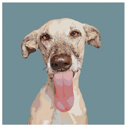 Pieškite pagal skaičius A172 Pieškite pagal skaičius A172