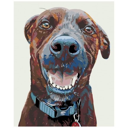 Pieškite pagal skaičius A219 Pieškite pagal skaičius A219