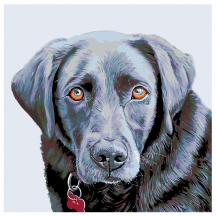 Pieškite pagal skaičius A232