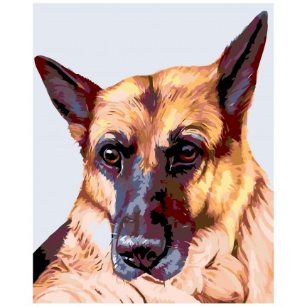 Pieškite pagal skaičius A233 Pieškite pagal skaičius A233