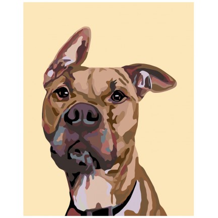 Pieškite pagal skaičius A243 Pieškite pagal skaičius A243