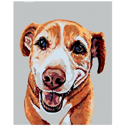 Pieškite pagal skaičius A249 Pieškite pagal skaičius A249