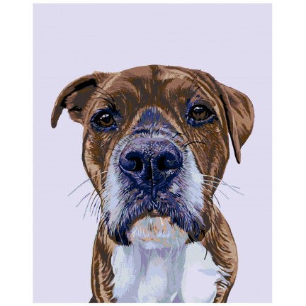 Pieškite pagal skaičius A254 Pieškite pagal skaičius A254