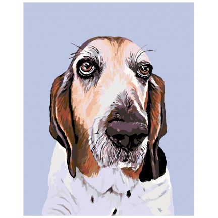 Pieškite pagal skaičius A264 Pieškite pagal skaičius A264