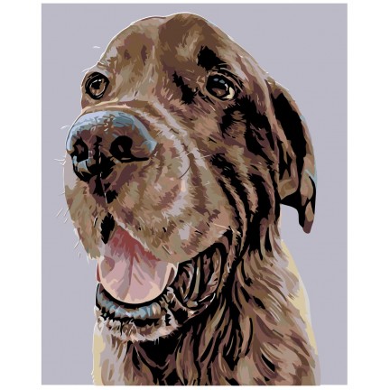 Pieškite pagal skaičius A276 Pieškite pagal skaičius A276