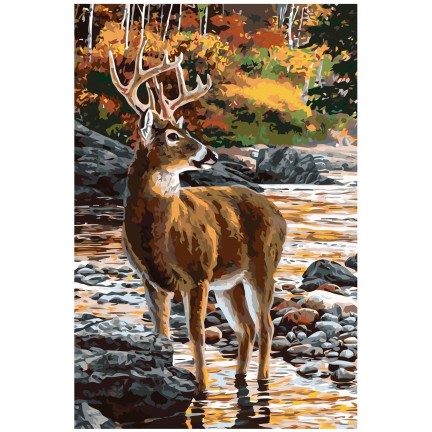 Pieškite pagal skaičius A356 Pieškite pagal skaičius A356