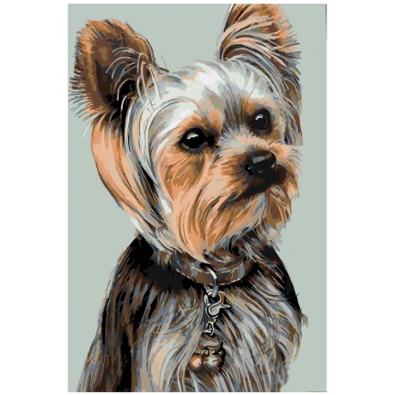 Pieškite pagal skaičius A370 Pieškite pagal skaičius A370