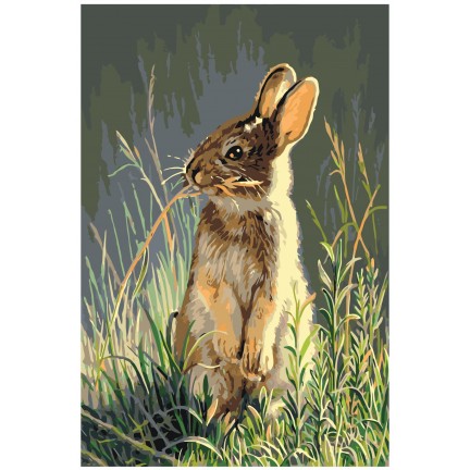 Pieškite pagal skaičius A404 Pieškite pagal skaičius A404