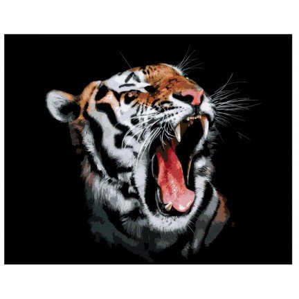 Pieškite pagal skaičius A424