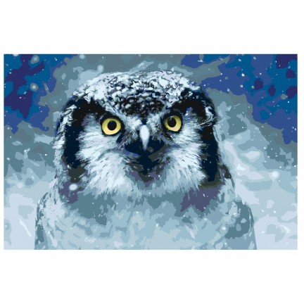 Pieškite pagal skaičius A430 Pieškite pagal skaičius A430