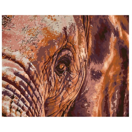 Pieškite pagal skaičius A435 Pieškite pagal skaičius A435