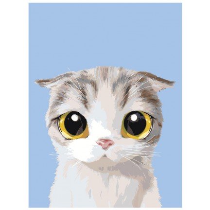 Pieškite pagal skaičius A509 Pieškite pagal skaičius A509