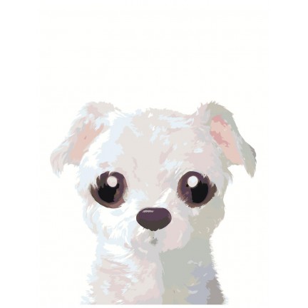 Pieškite pagal skaičius A585 Pieškite pagal skaičius A585