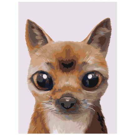 Pieškite pagal skaičius A589 Pieškite pagal skaičius A589