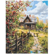 Painting by numbers A5II-AN60