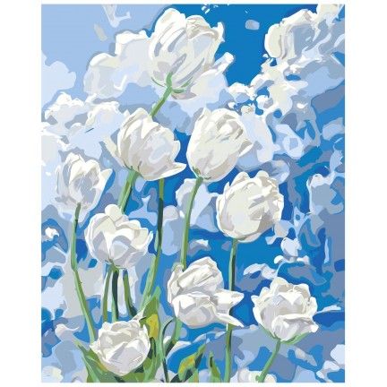 Painting by numbers A5II-NK534
