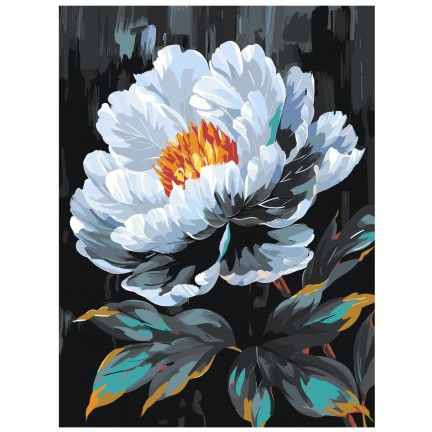 Pieškite pagal skaičius AAAA-NK025 Pieškite pagal skaičius AAAA-NK025