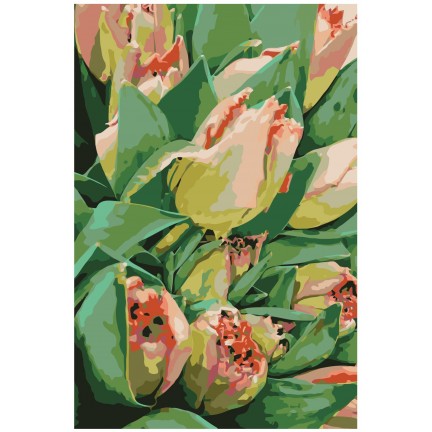 Pieškite pagal skaičius F41 Pieškite pagal skaičius F41