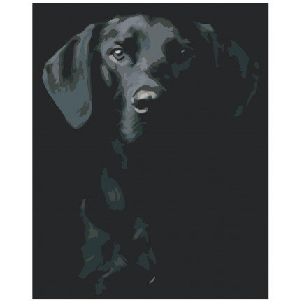 Pieškite pagal skaičius KTMK-351312 Pieškite pagal skaičius KTMK-351312