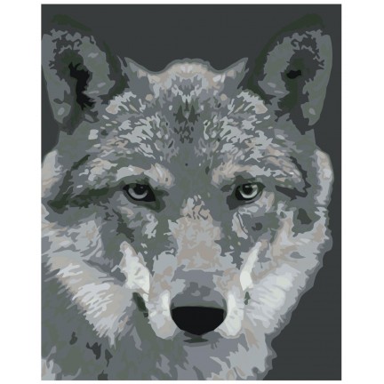 Pieškite pagal skaičius KTMK-351313 Pieškite pagal skaičius KTMK-351313