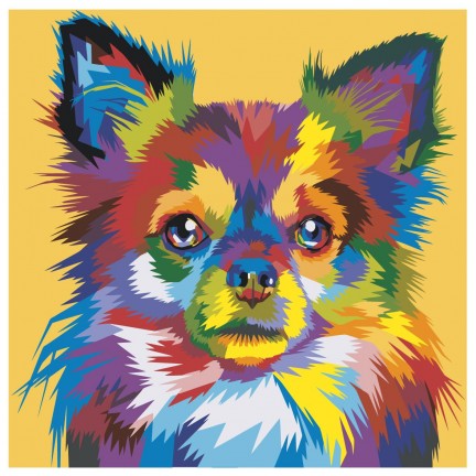 Pieškite pagal skaičius PA211 Pieškite pagal skaičius PA211