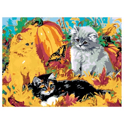 Pieškite pagal skaičius RA016 Pieškite pagal skaičius RA016