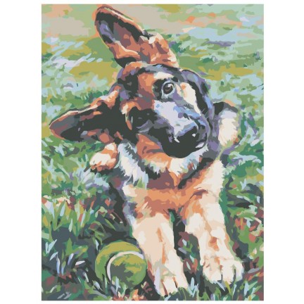 Pieškite pagal skaičius RA018 Pieškite pagal skaičius RA018