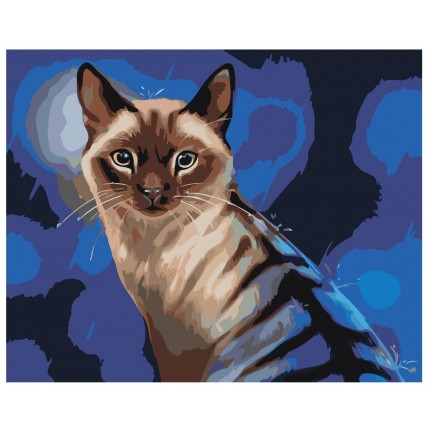 Pieškite pagal skaičius Z-AB17 Pieškite pagal skaičius Z-AB17