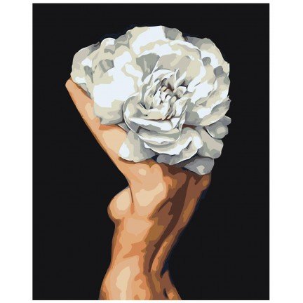 Pieškite pagal skaičius Z-AB248 Pieškite pagal skaičius Z-AB248