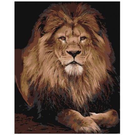 Pieškite pagal skaičius Z-AB24 Pieškite pagal skaičius Z-AB24