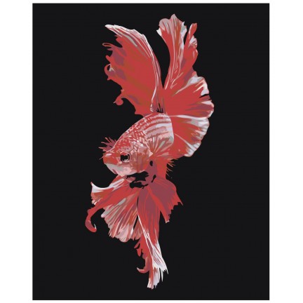 Pieškite pagal skaičius Z-AB283 Pieškite pagal skaičius Z-AB283