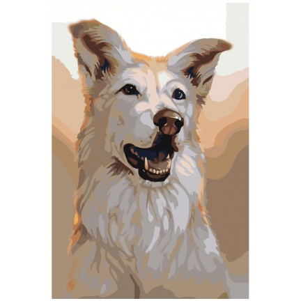 Pieškite pagal skaičius Z-AB2 Pieškite pagal skaičius Z-AB2