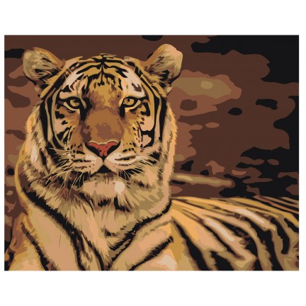 Pieškite pagal skaičius Z-AB302 Pieškite pagal skaičius Z-AB302