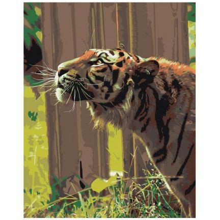 Pieškite pagal skaičius Z-AB306 Pieškite pagal skaičius Z-AB306