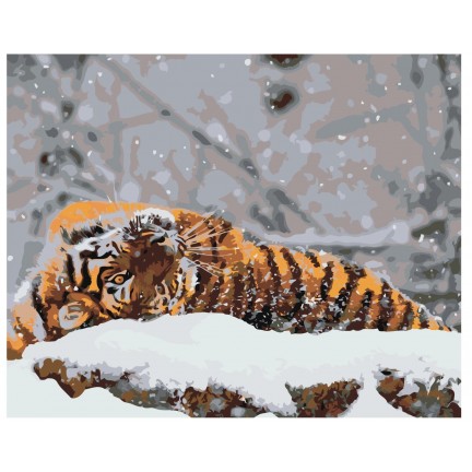 Pieškite pagal skaičius Z-AB375 Pieškite pagal skaičius Z-AB375