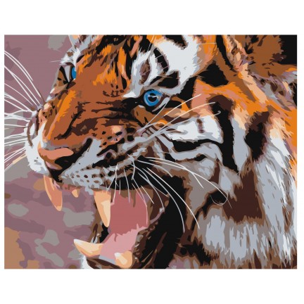 Pieškite pagal skaičius Z-AB380 Pieškite pagal skaičius Z-AB380