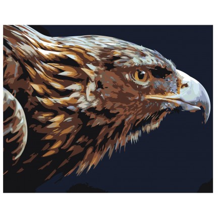 Pieškite pagal skaičius Z-AB420 Pieškite pagal skaičius Z-AB420