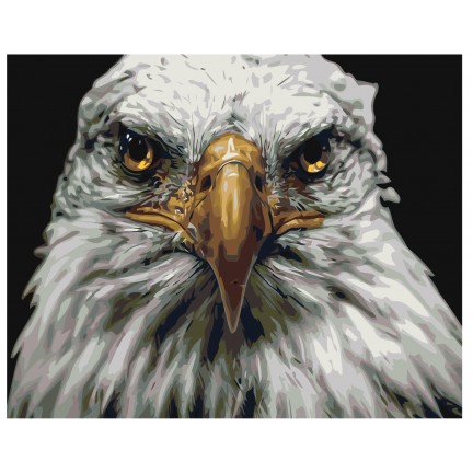 Pieškite pagal skaičius Z-AB421 Pieškite pagal skaičius Z-AB421