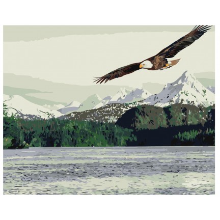 Pieškite pagal skaičius Z-AB424 Pieškite pagal skaičius Z-AB424