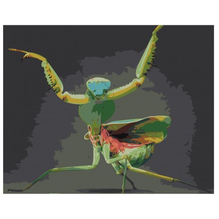 Pieškite pagal skaičius Z-AB429 Pieškite pagal skaičius Z-AB429